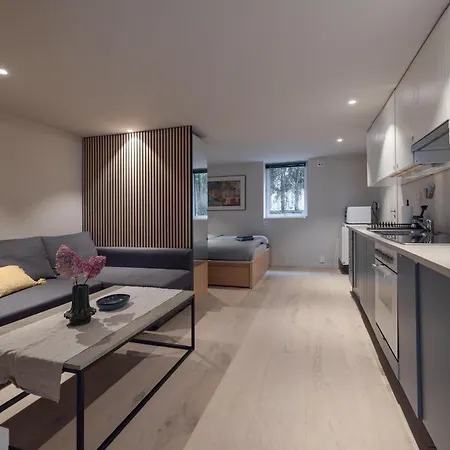 Central, Comfortable Lejlighed